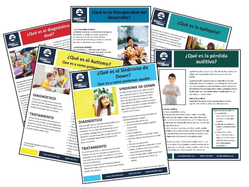 A collection of 6 information sheets in Spanish about intellectual and developmental disabilities.